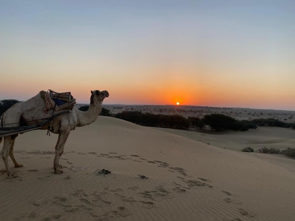 Shiva Guest House Jaisalmer Ngoại thất bức ảnh