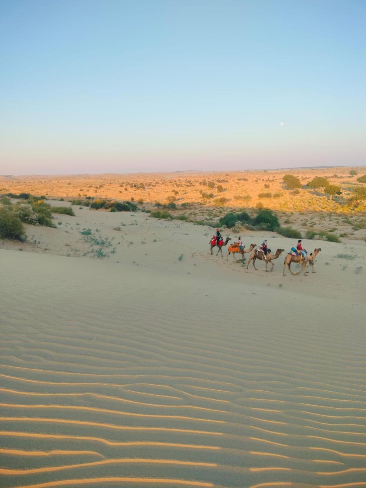 Shiva Guest House Jaisalmer Ngoại thất bức ảnh